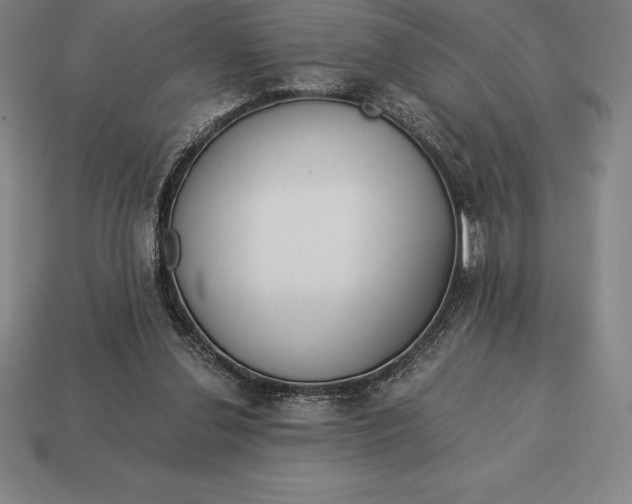 X0000113170252200909181838