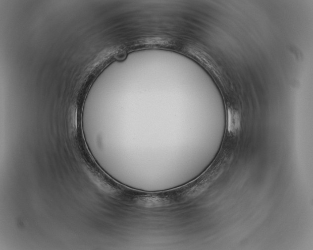 X0000113170253200909181838