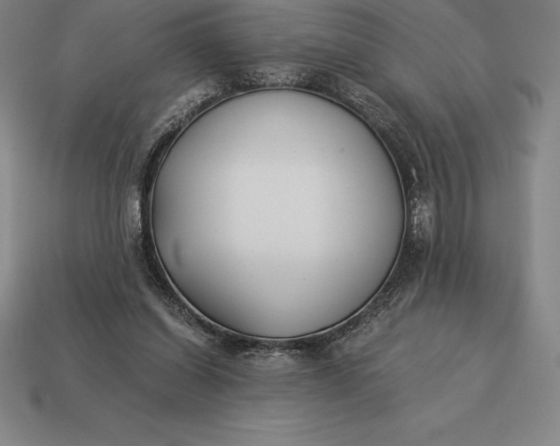 X0000113170254200909181838