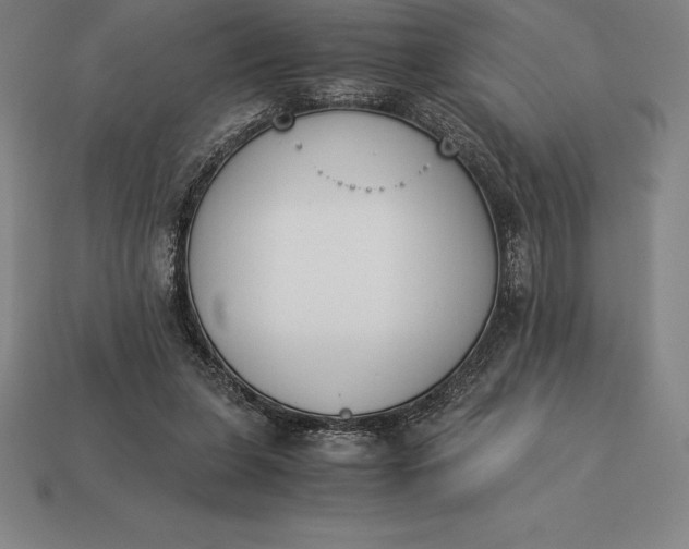 X0000113170255200909181838