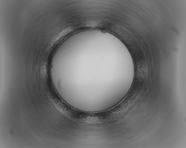 X0000113170256200909181838