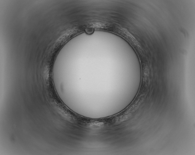 X0000113170257200909181838