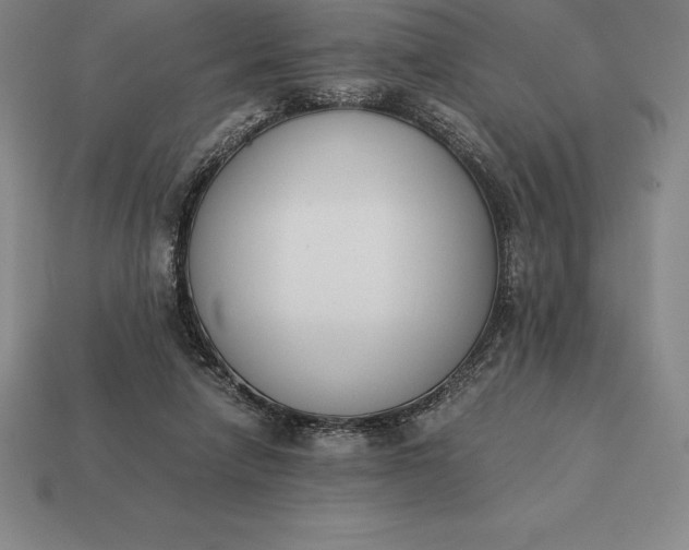 X0000113170258200909181838