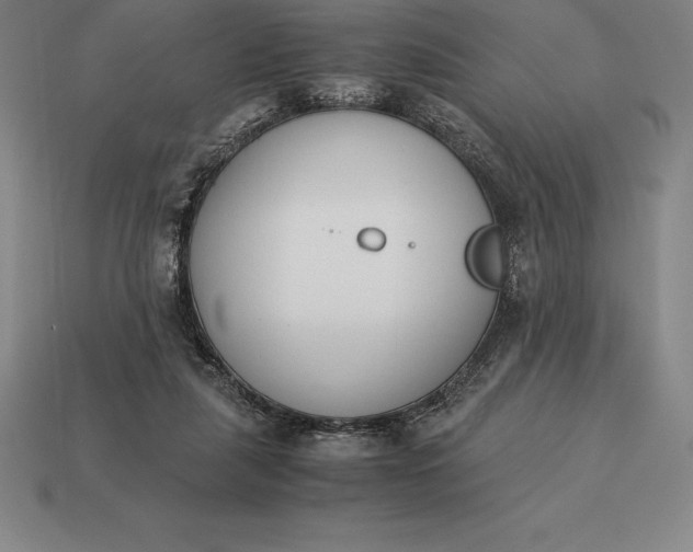 X0000113170259200909181838