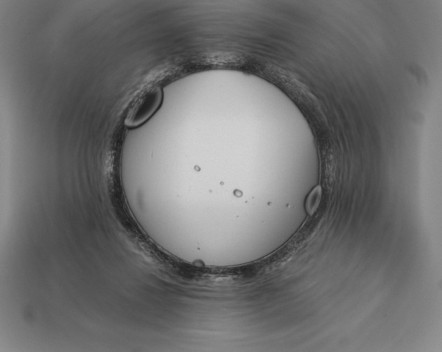 X0000113170260200909181838