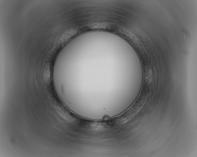 X0000113170261200909181838