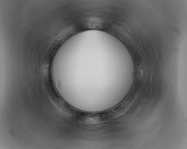 X0000113170263200909181838