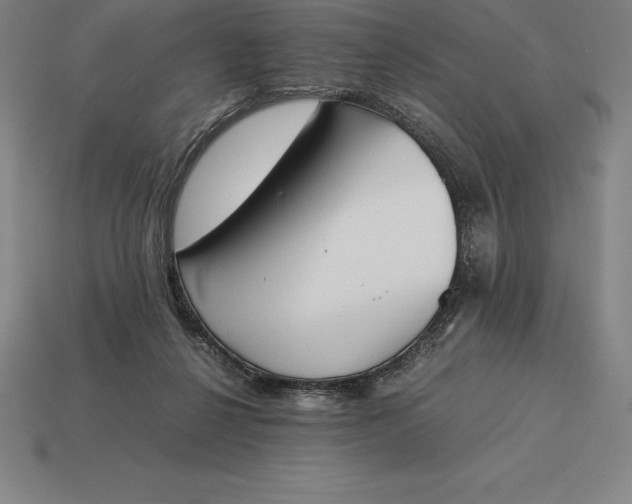 X0000113170264200909181838