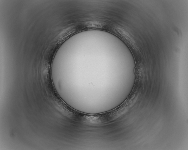 X0000113170265200909181838