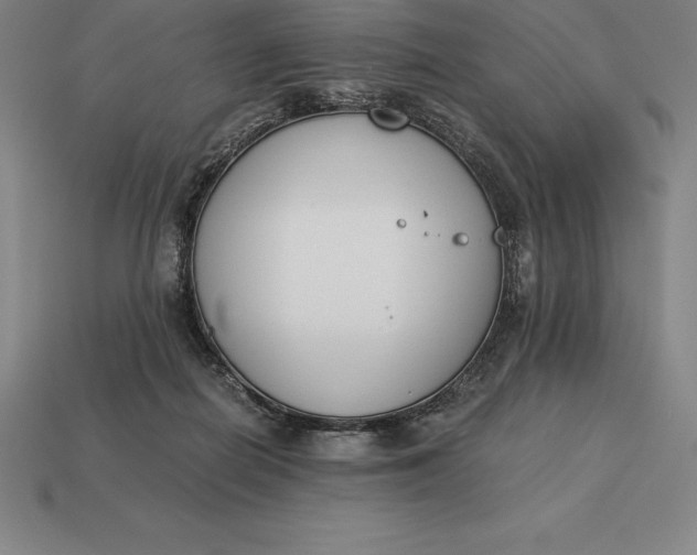 X0000113170266200909181838