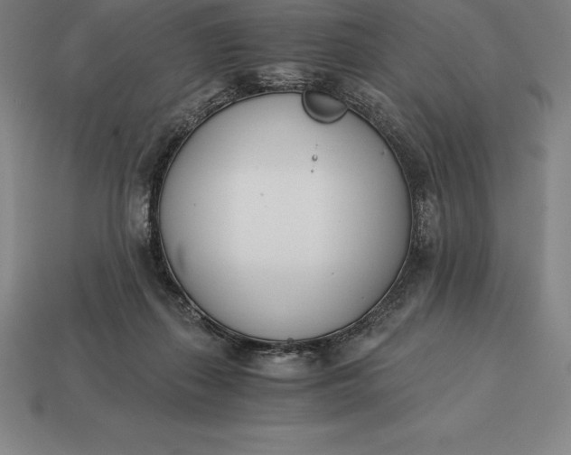 X0000113170267200909181838