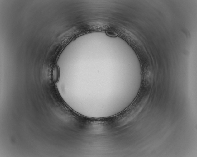 X0000113170268200909181838