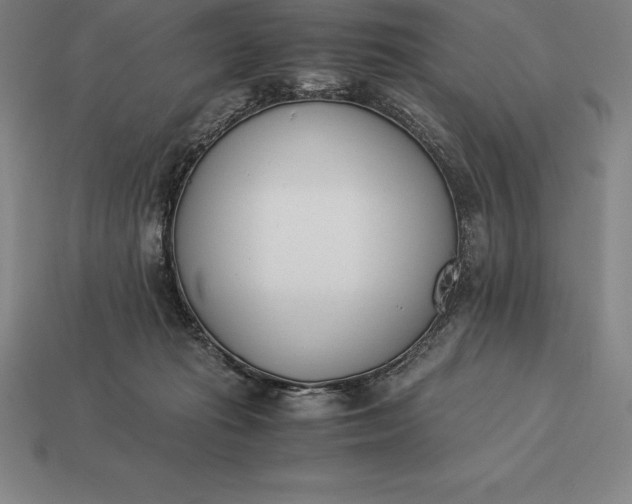 X0000113170269200909181838