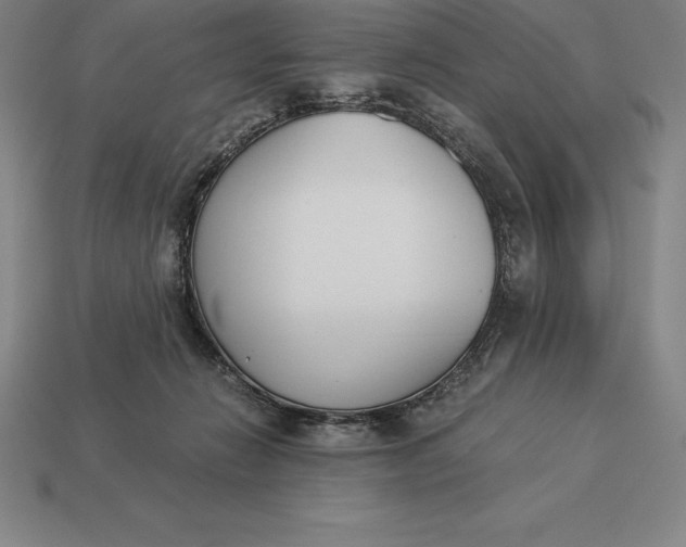 X0000113170270200909181838