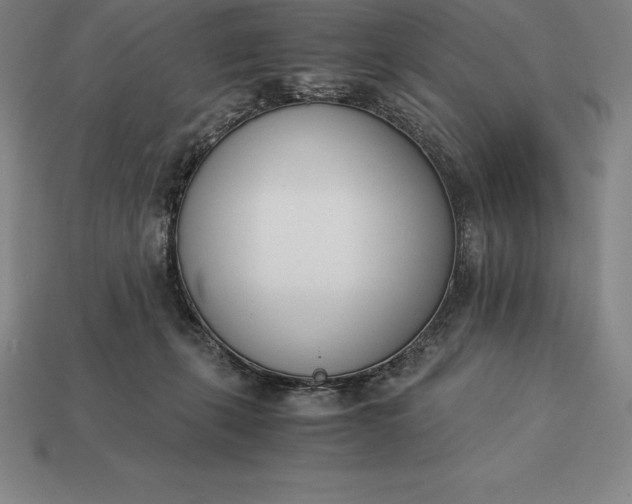 X0000113170271200909181838