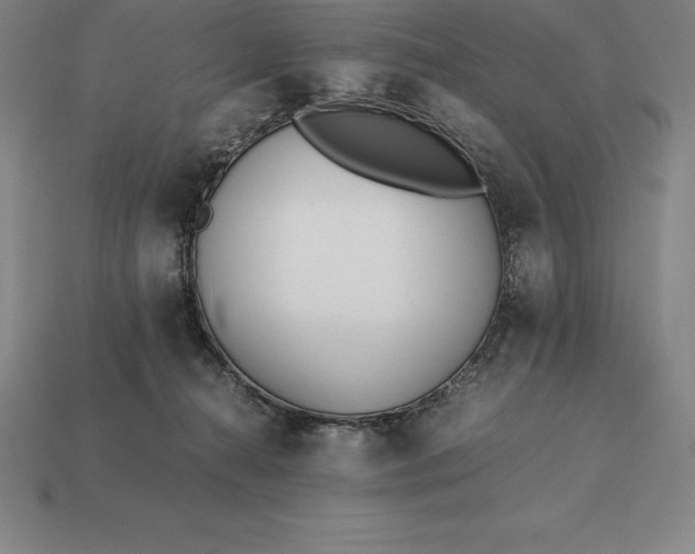 X0000113170272200909181838