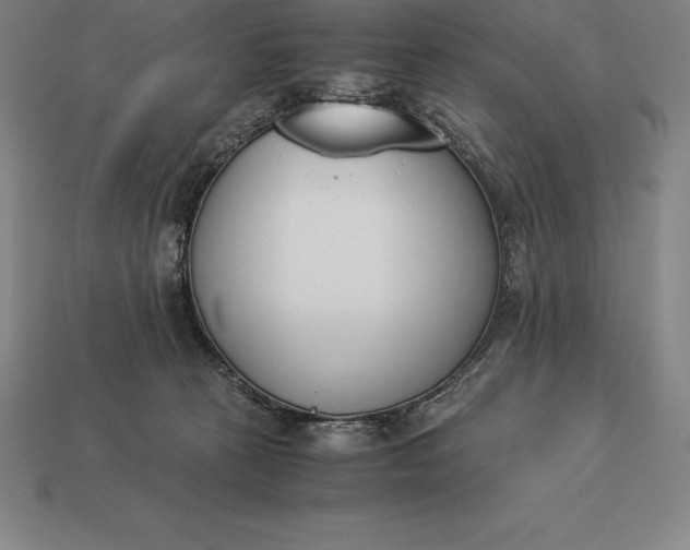 X0000113170273200909181838