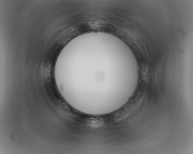 X0000113170275200909181838