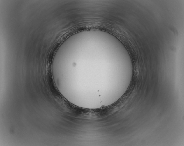 X0000113170276200909181838