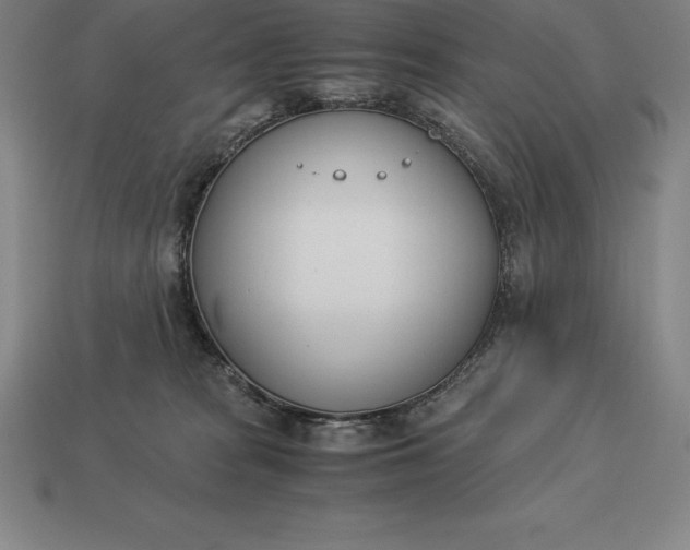 X0000113170277200909181838