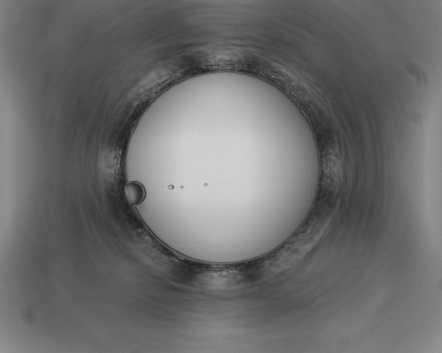 X0000113170278200909181838