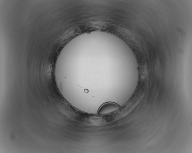 X0000113170279200909181838