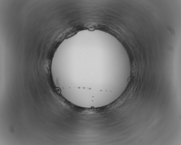 X0000113170280200909181838