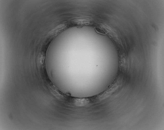 X0000113170281200909181838