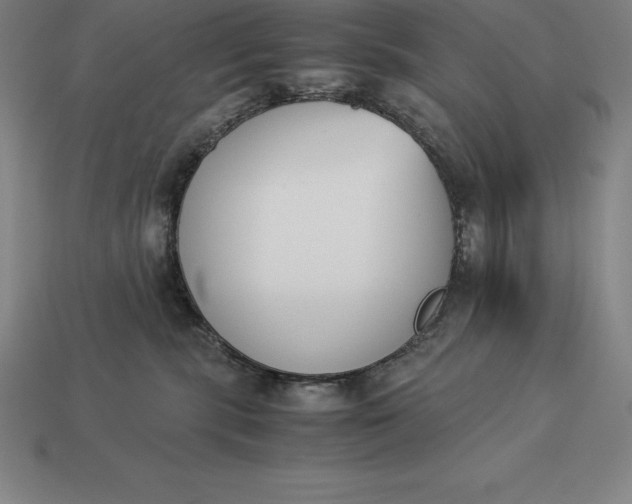 X0000113170283200909181838