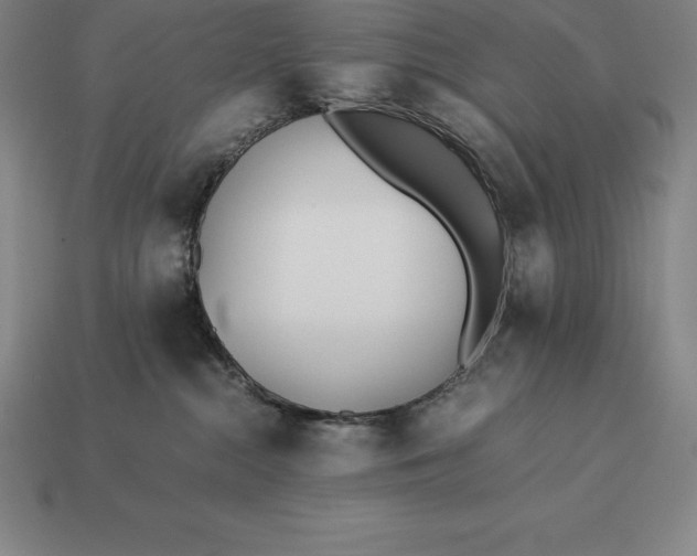 X0000113170284200909181838