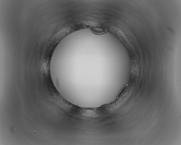 X0000113170285200909181838