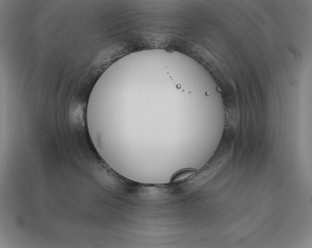 X0000113170286200909181838