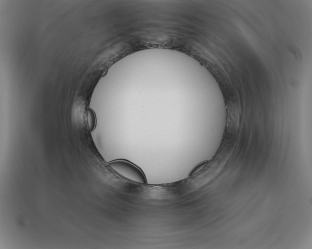 X0000113170287200909181838