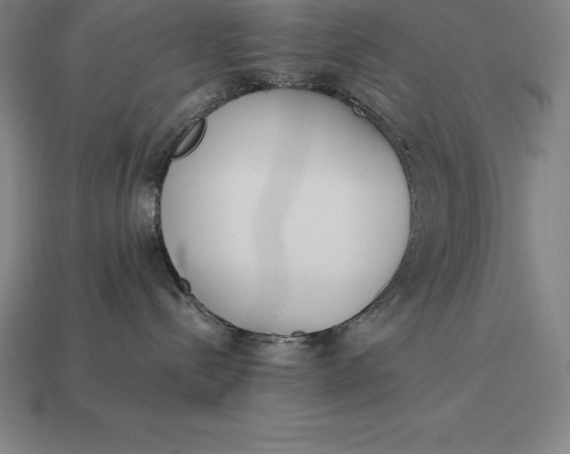 X0000113170288200909181838