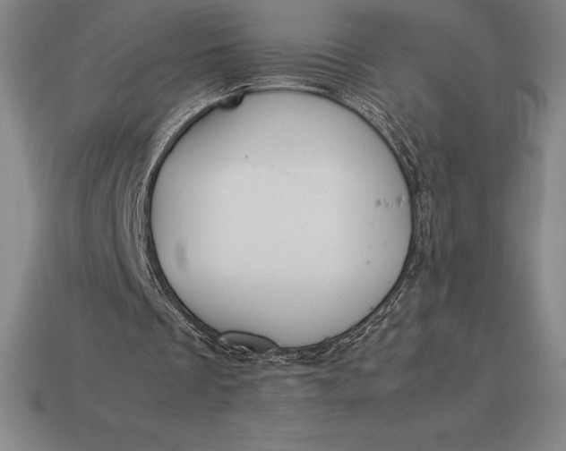 X0000113170289200909181837