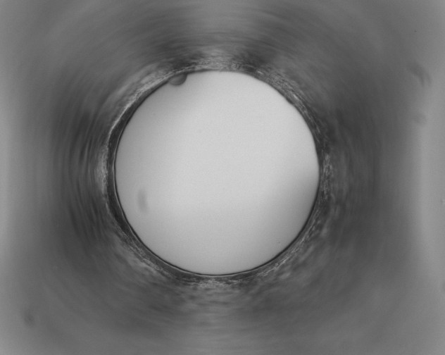 X0000113170290200909181837