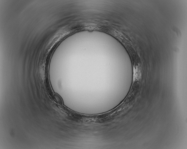 X0000113170291200909181837