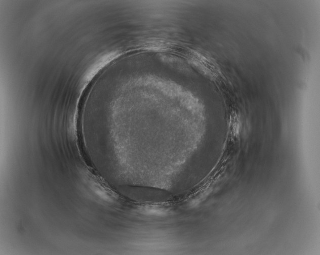 X0000113170292200909181837