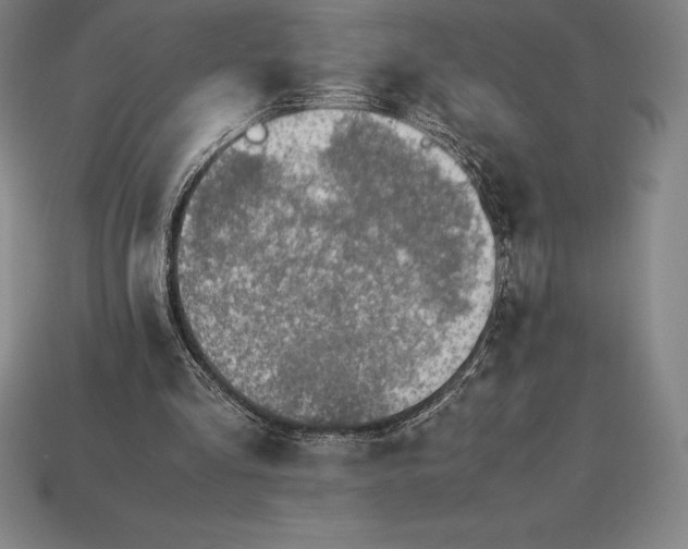 X0000113170293200909181837