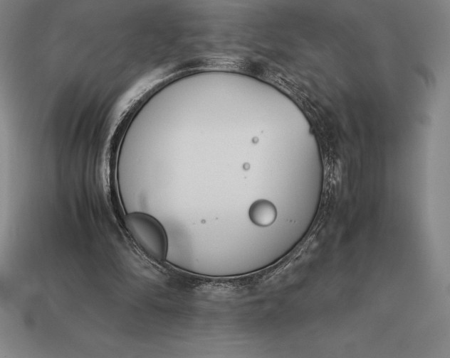 X0000113170294200909181837