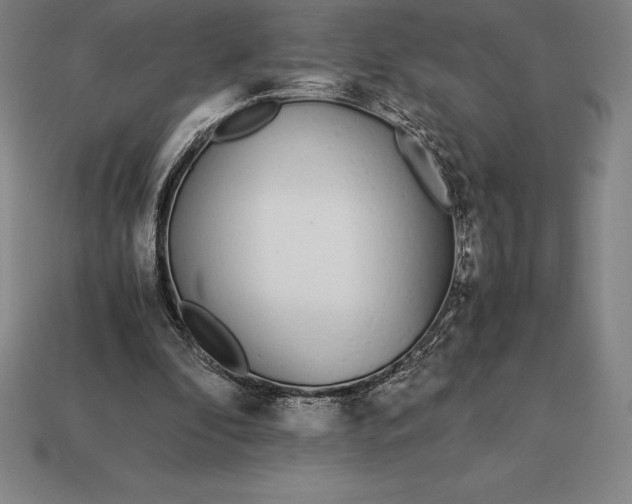 X0000113170296200909181837