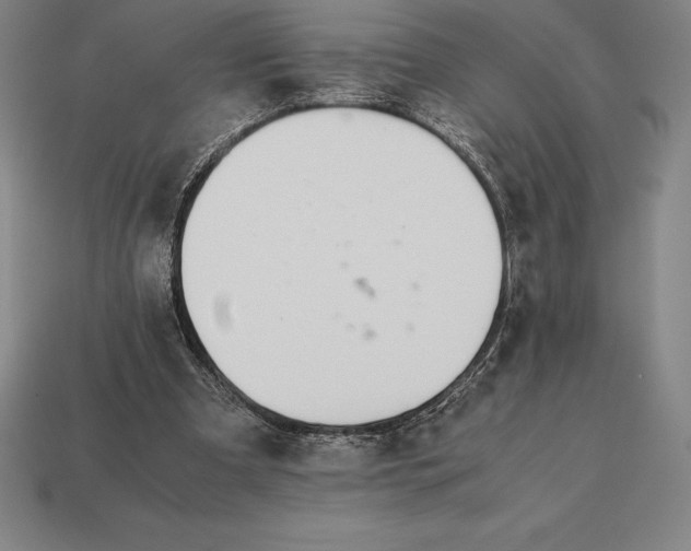 X0000113170297200909181837