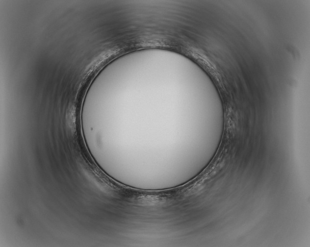 X0000113170298200909181837