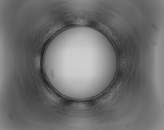 X0000113170299200909181837