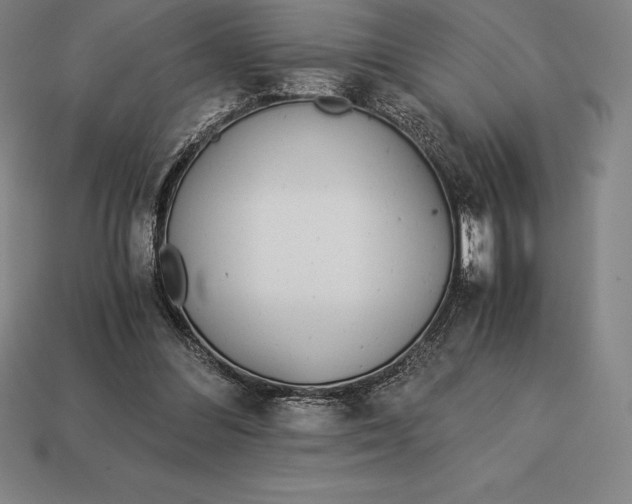 X0000113170300200909181837