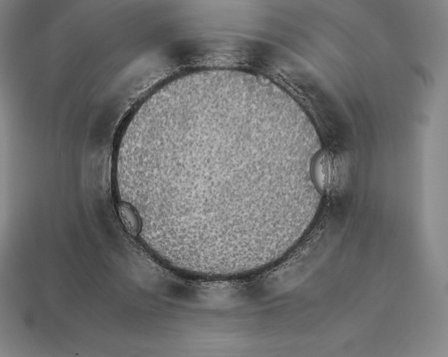 X0000113170301200909181837