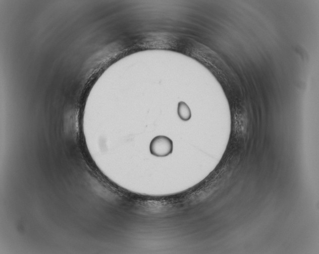 X0000113170302200909181837