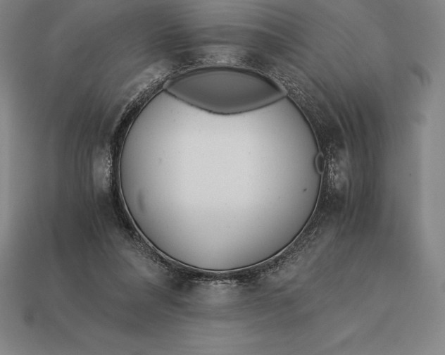 X0000113170304200909181837