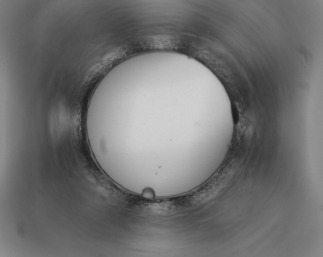 X0000113170306200909181837