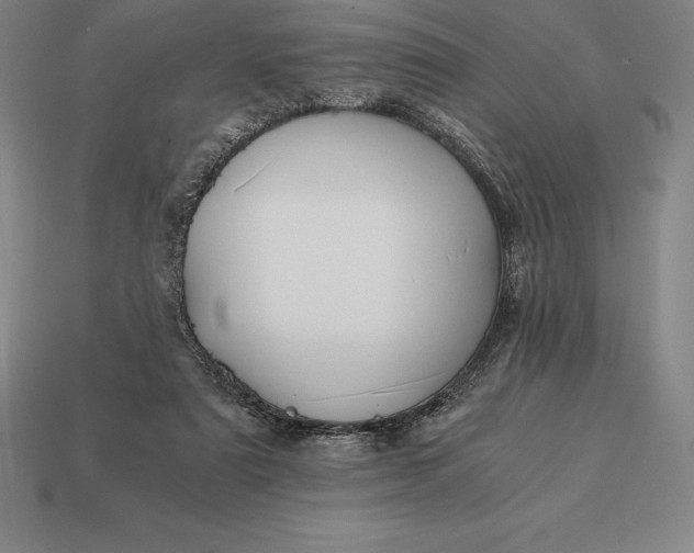 X0000113170307200909181837